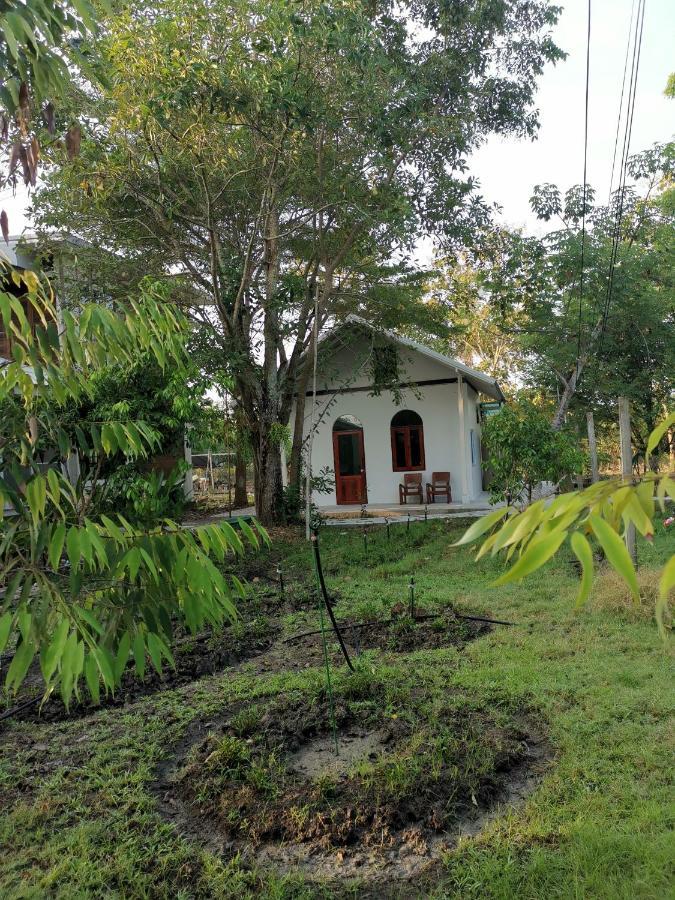 Baangaimuan Bed and Breakfast Lamphun Eksteriør billede