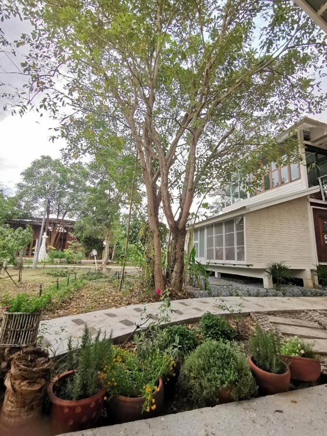 Baangaimuan Bed and Breakfast Lamphun Eksteriør billede